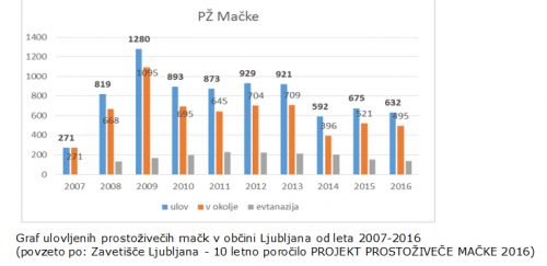 Graf ulovljenih prostoživečih mačk v občini Ljubljana