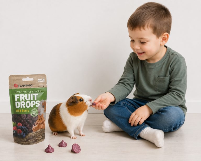 Pribolj&scaron;ek za glodavce Flamingo Drops gozdne jagode 75g