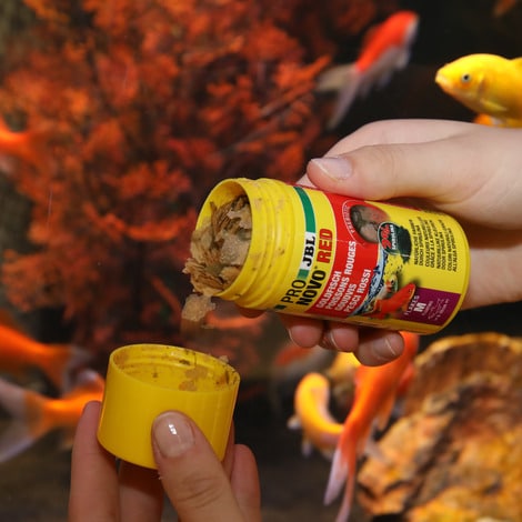 JBL ProNovo Red M 250ml hrana za zlate ribice