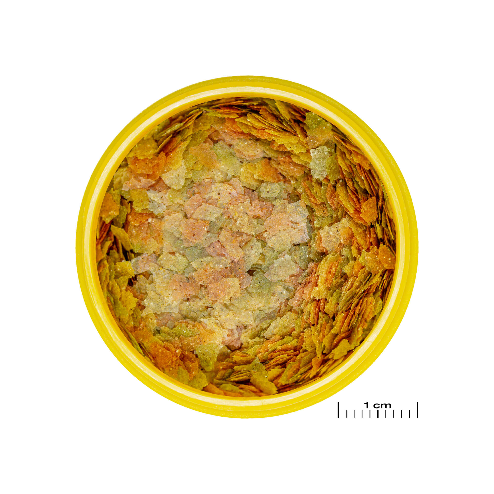 JBL ProNovo Betta Flakes S, hrana za bojne ribice 3-10 cm, 100 ml