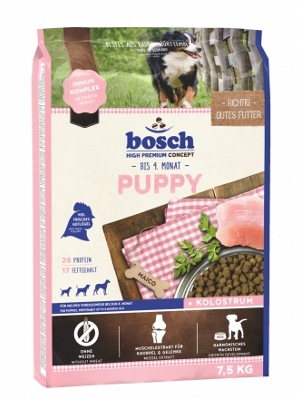 bosch-puppy