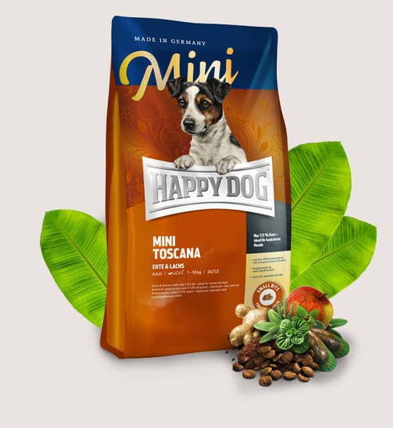happy dog toscana1