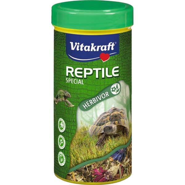 reptile1