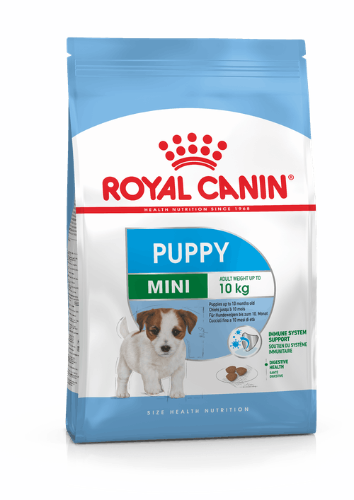 royal puppy mini1