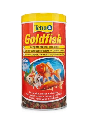 tetra-goldfish