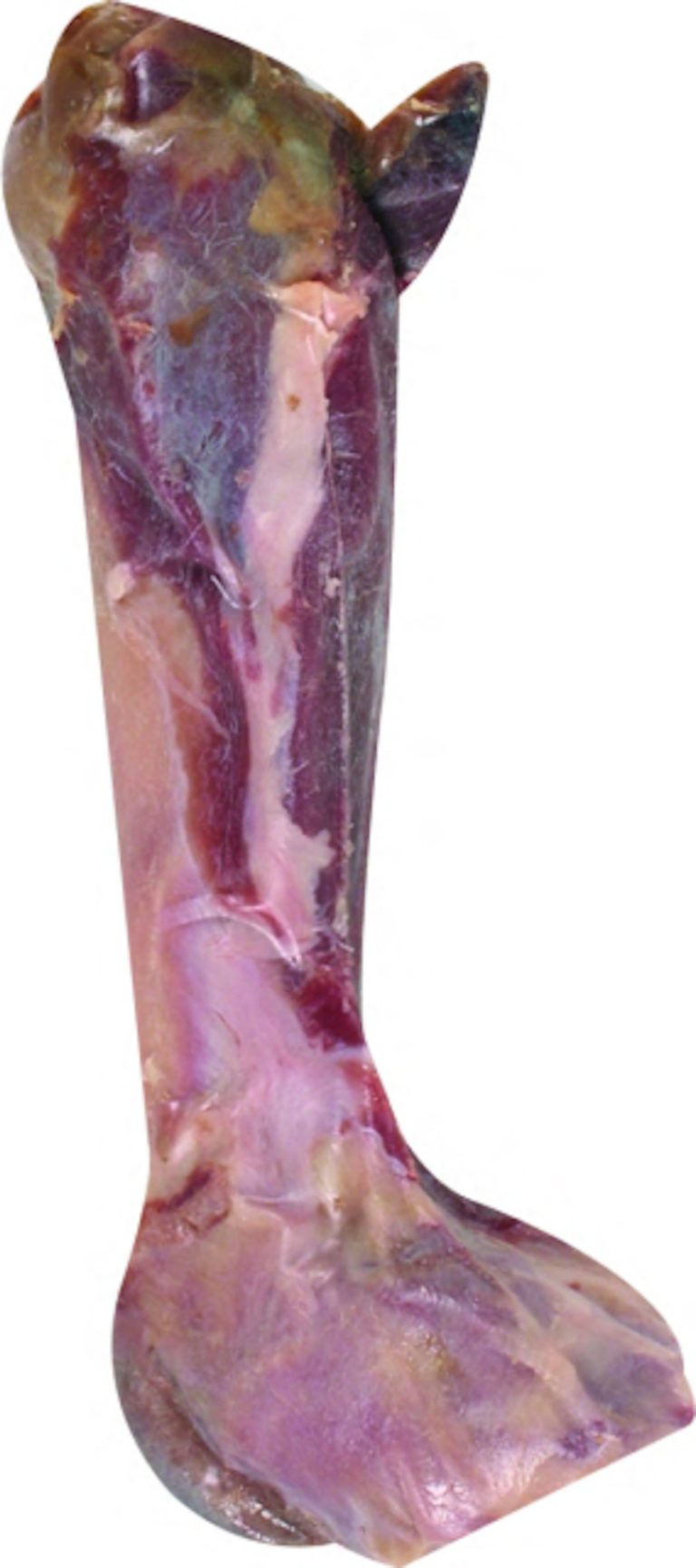Flamingo naravna kost Maxi 300-500g