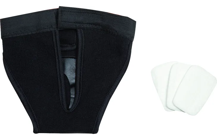 Higienske hlačke za psičke S 24 x 31cm Flamingo1