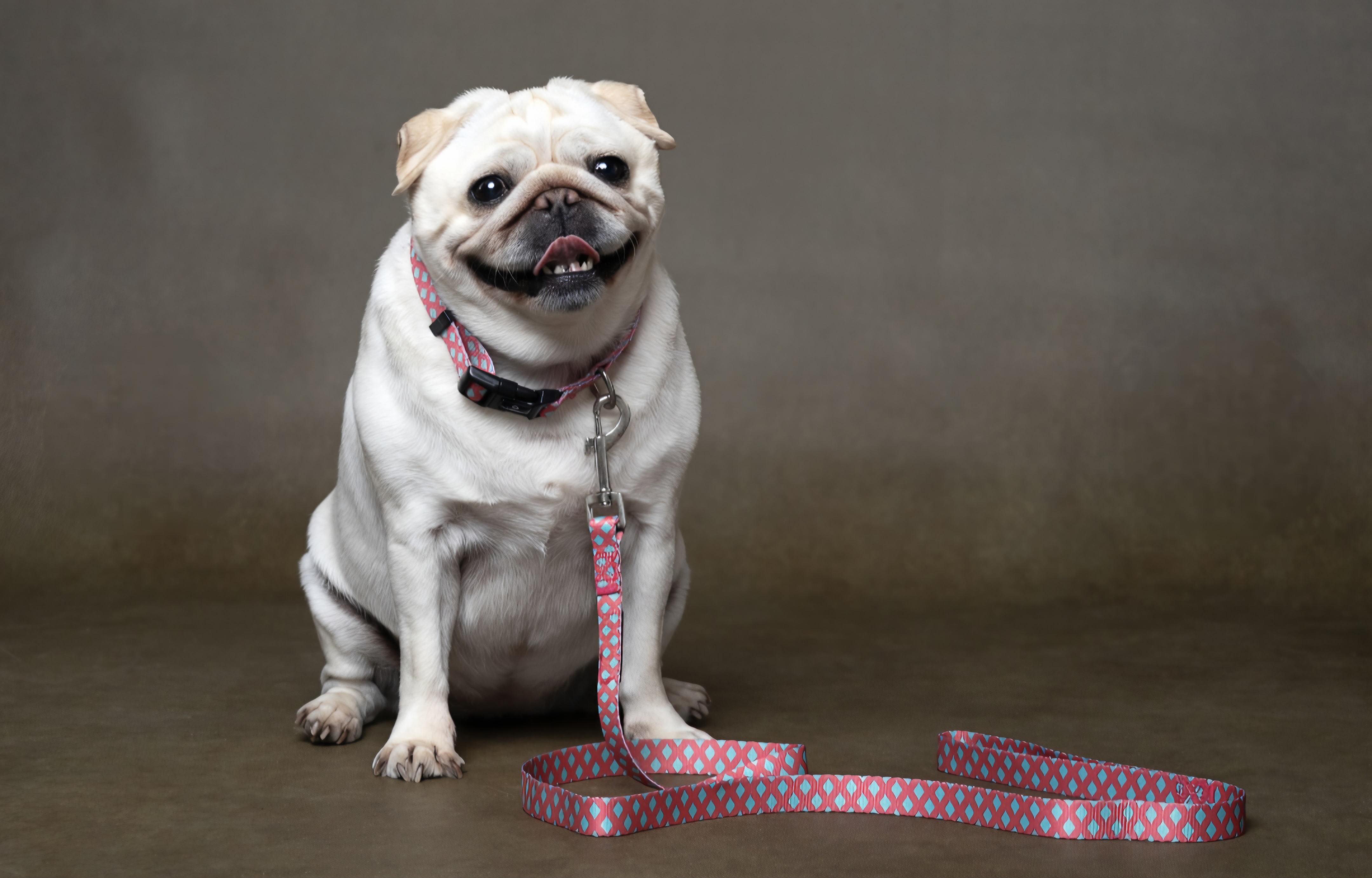 Ovratnica za psa Sue pink