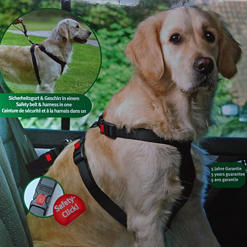 Varnostni pas za psa z oprsnico XL Kerbl
