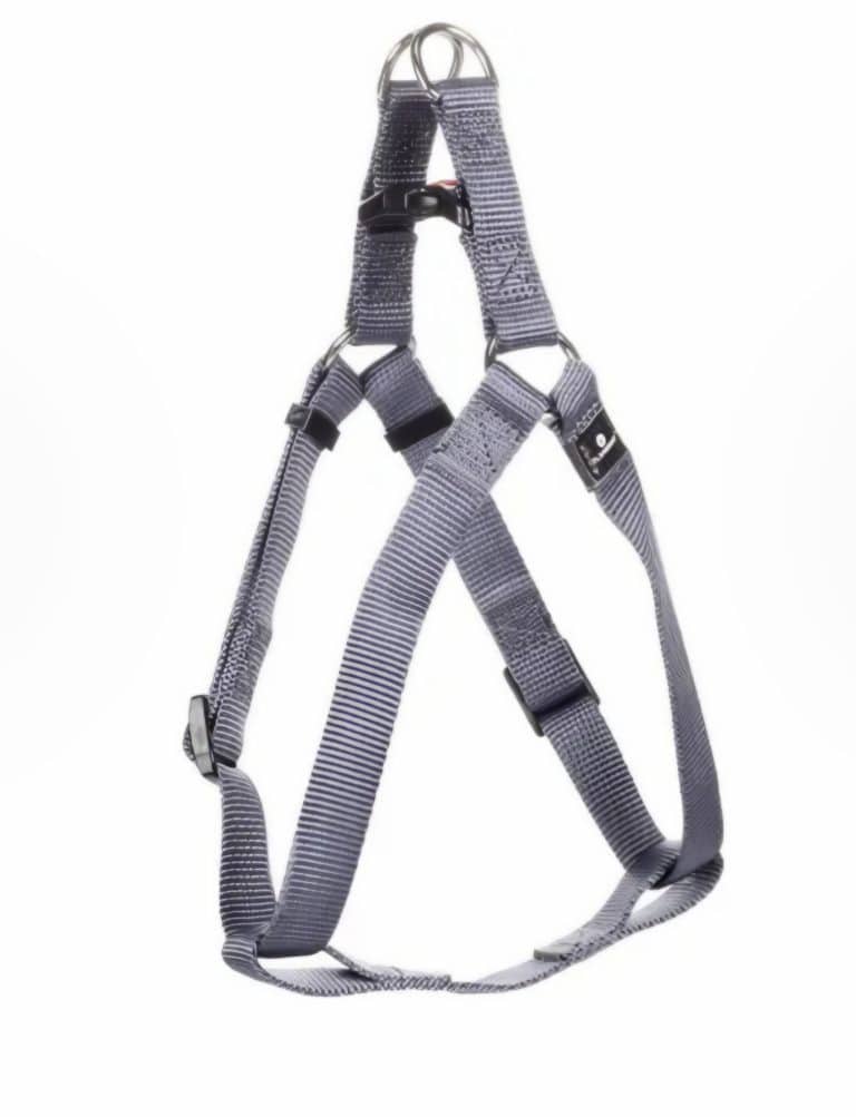 Oprsnica za pse easy Ziggy sivo&vijola Flamingo