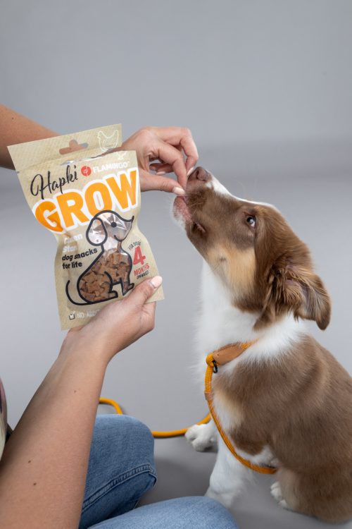 Priboljški za psa Grow puppy in adult mini piščančje kocke 85 g Flamingo