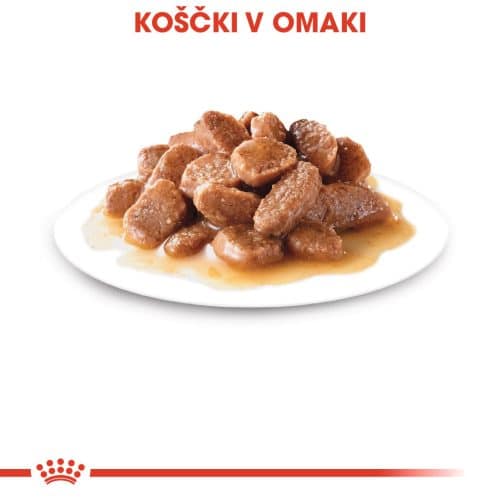 Royal Canin Cat Ageing 12+ v omaki - Image 2