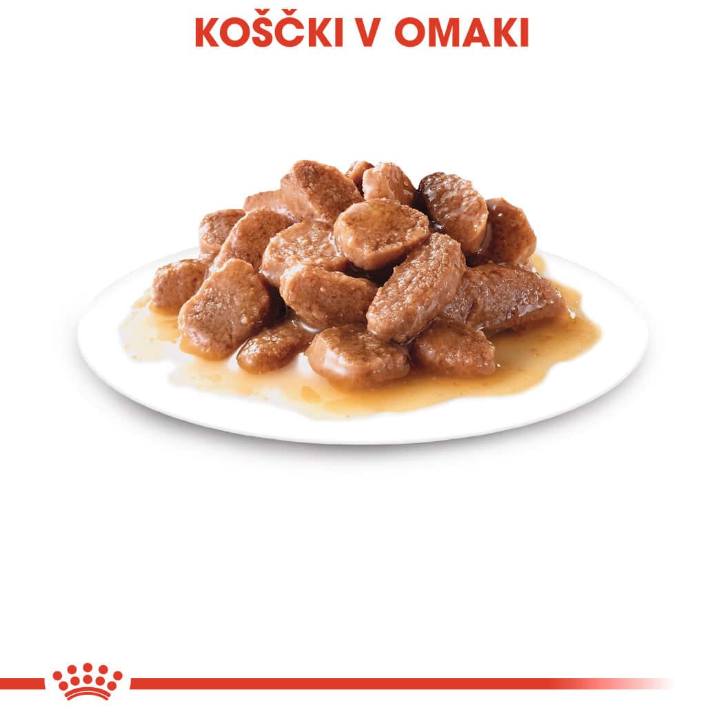 Royal Canin Cat Ageing 12+ v omaki