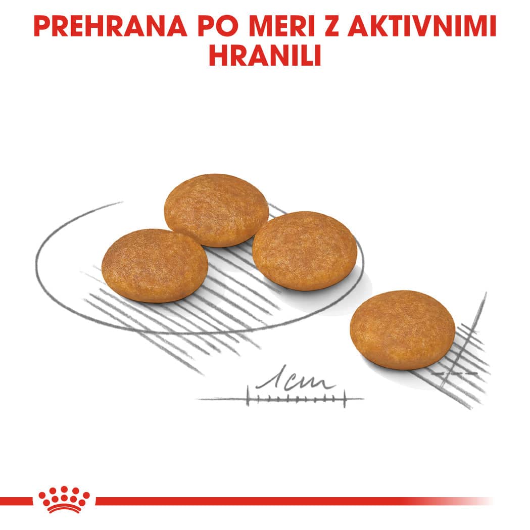 Royal Canin Mini Dermacomfort 1kg