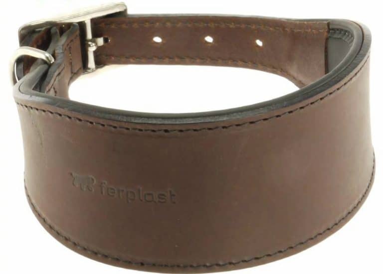 Ovratnica za psa usnjena &scaron;iroka rjava za hrte