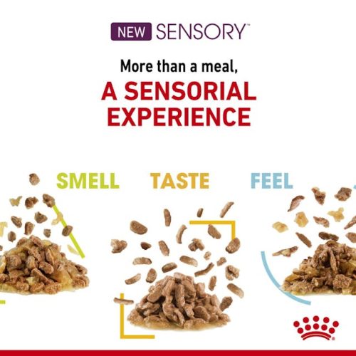 Royal Canin Sensory Taste 85g - Image 5