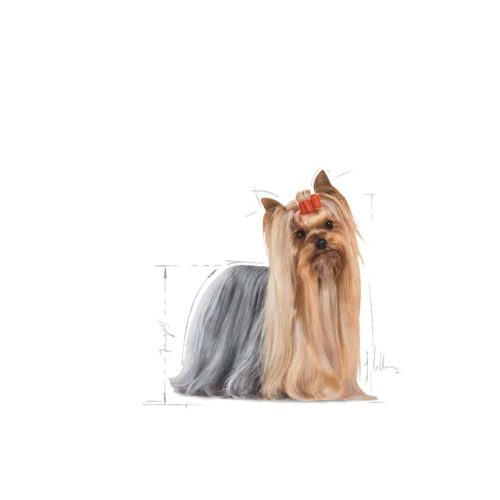 Royal Canin Yorkshire Terrier 85g - Image 2