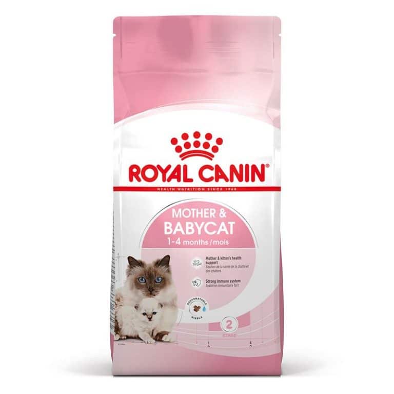 Royal Canin Babycat