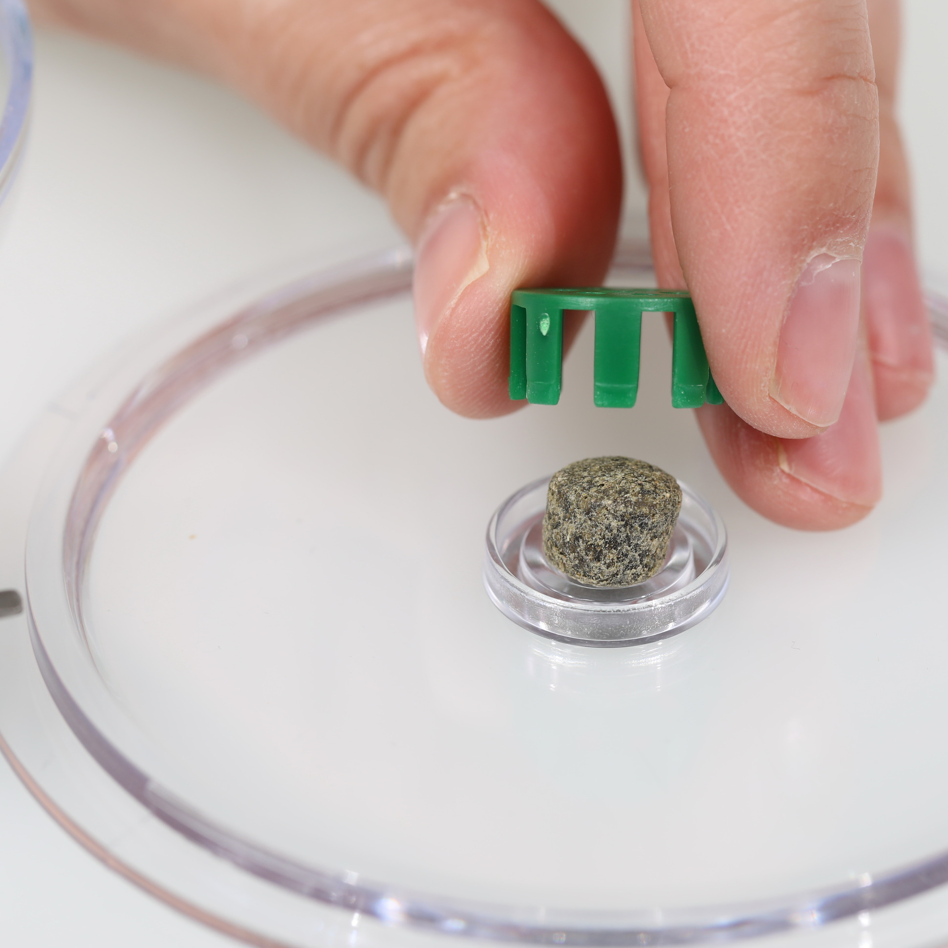 JBL LimCollect Lovilec polžev brez kemikalij za akvarije