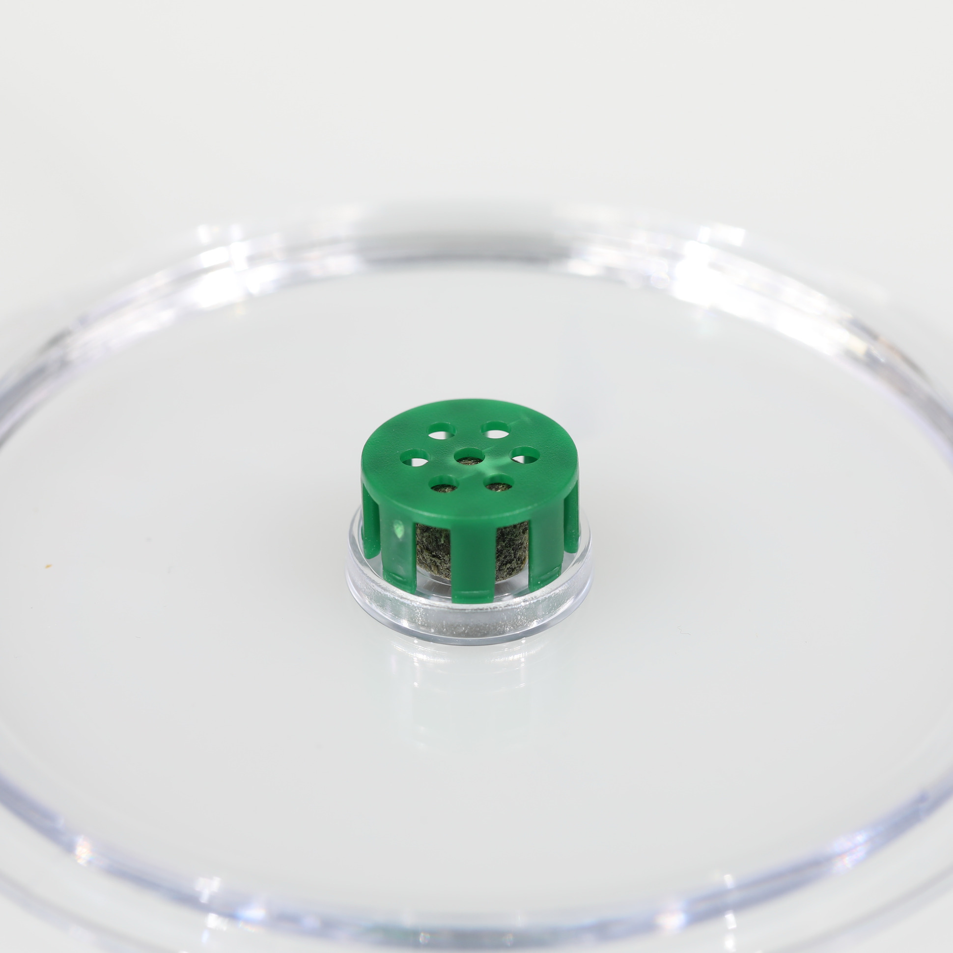 JBL LimCollect Lovilec polžev brez kemikalij za akvarije