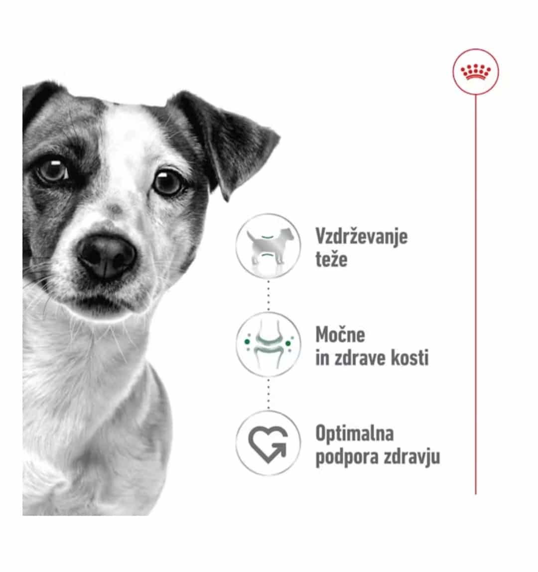 Royal Canin mini adult 85g