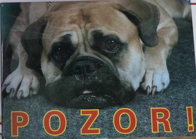 Tabla pozor pes - pozor !