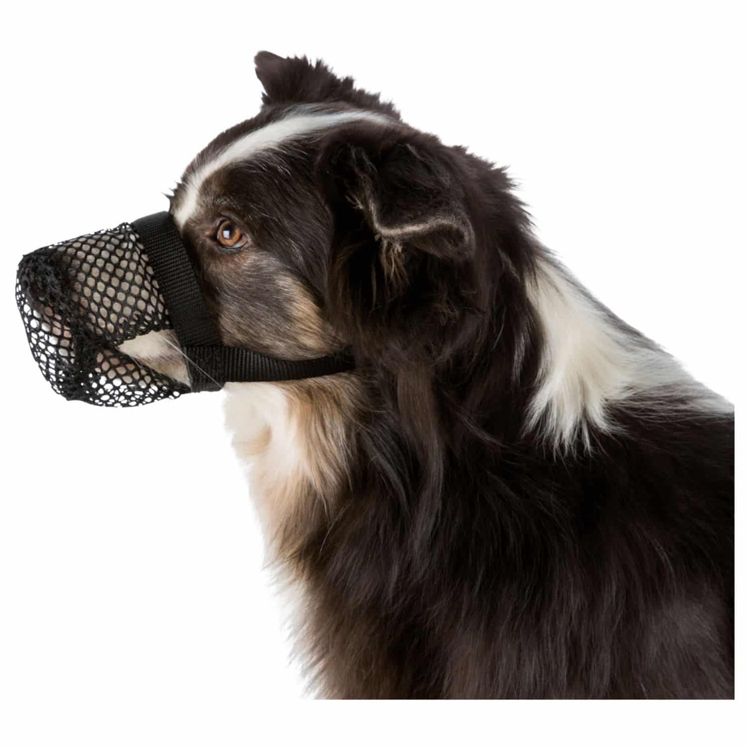 Nagobčnik proti zastrupitvi XS-S Trixie