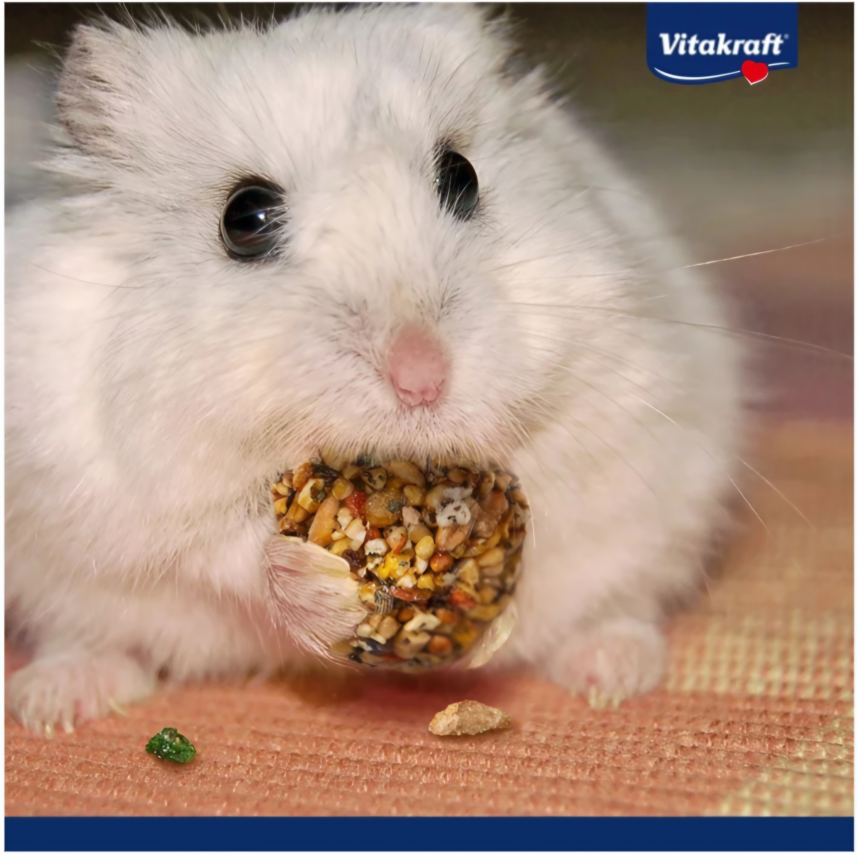 Rollinis žitne krogljice z gozdnimi jagodami