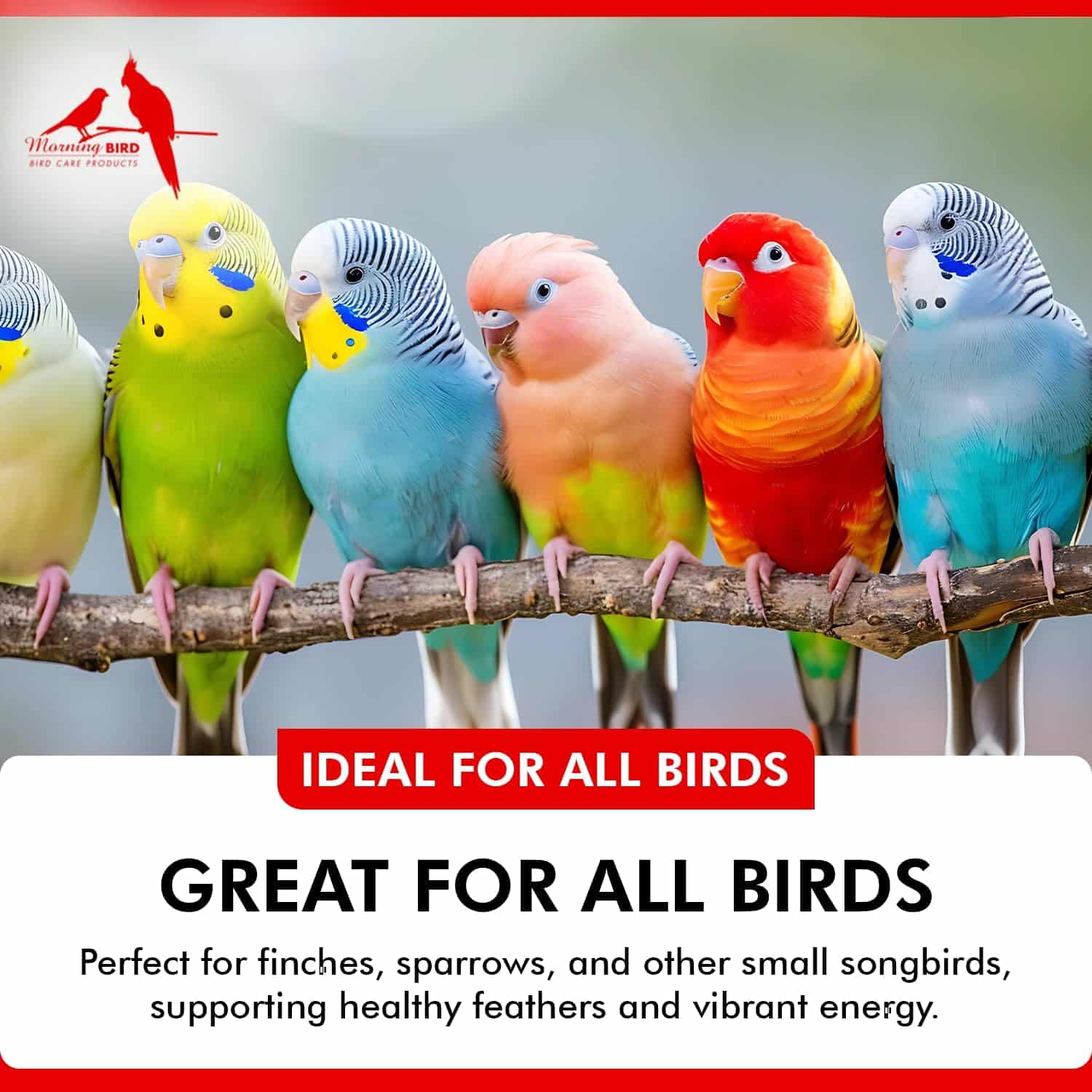 LIQUID IODINE tekoči jod za ptice 118 ml