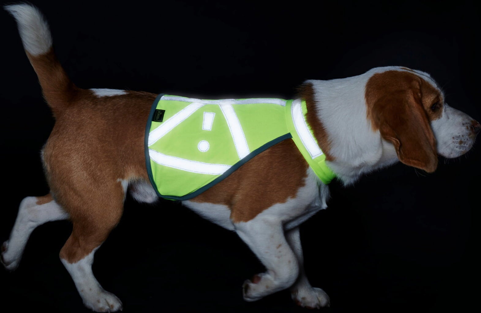 Varnostni odsevni jopič za pse M Hunter