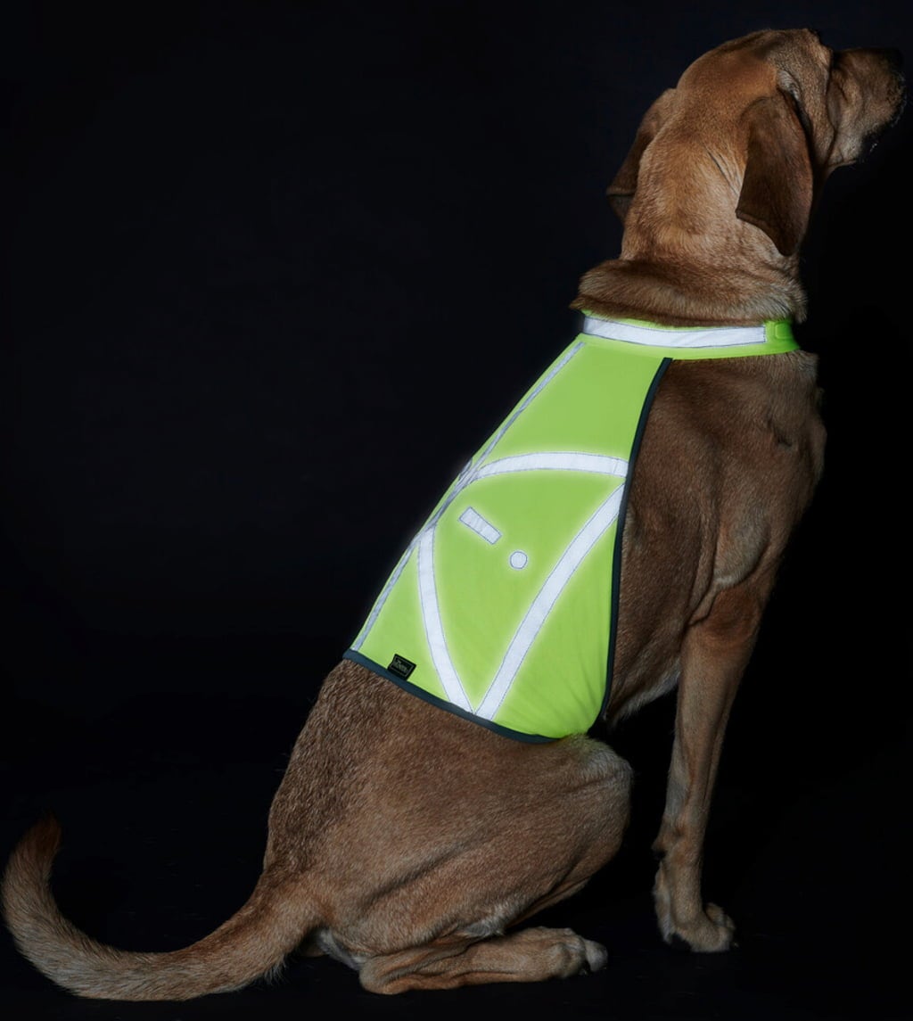 Varnostni odsevni jopič za pse M Hunter