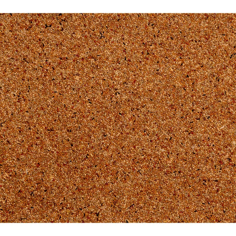 Deli Nature Premium hrana za papige (skobčevka) 1 kg