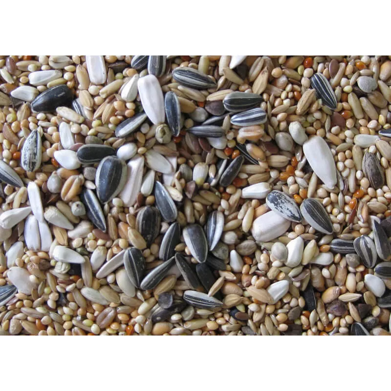 Deli Nature Premium hrana za večje papige (nimfa) 1 kg