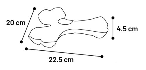 Igrača za pse Tegro trikraka zelena 22cm Flamingo