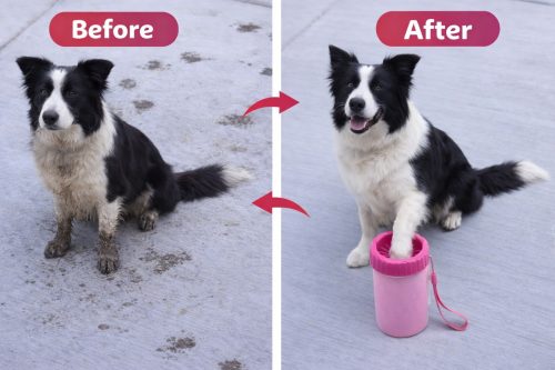 Čistilec pasjih tačk