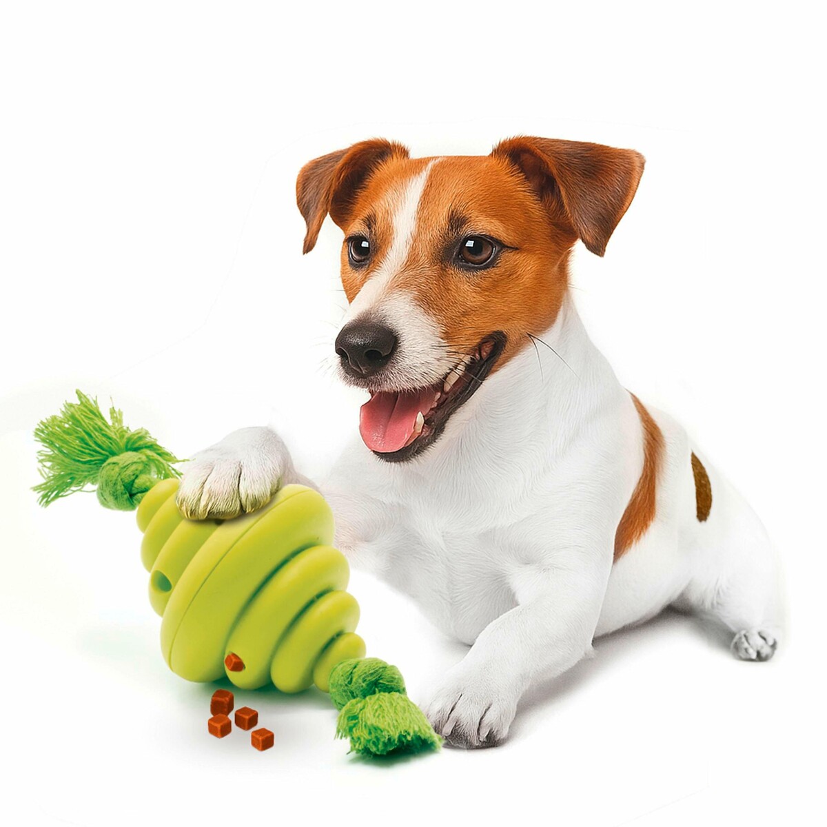 Happet pasja igrača 2 v 1 &ndash; pribolj&scaron;ki in vleka, 30 cm