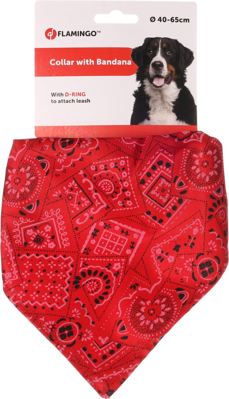 Ovratnica-za-psa-z-rutko-rdeca-Flamingo-40-65cm