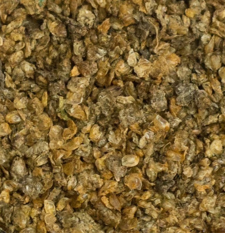 Arami SiLine Daphnia - vodne bolhe 100ml