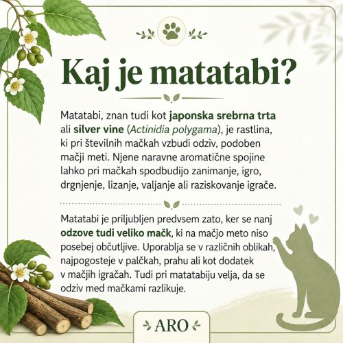 Matatabi