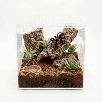 Terarij akrilni 20x20x20cm Happet