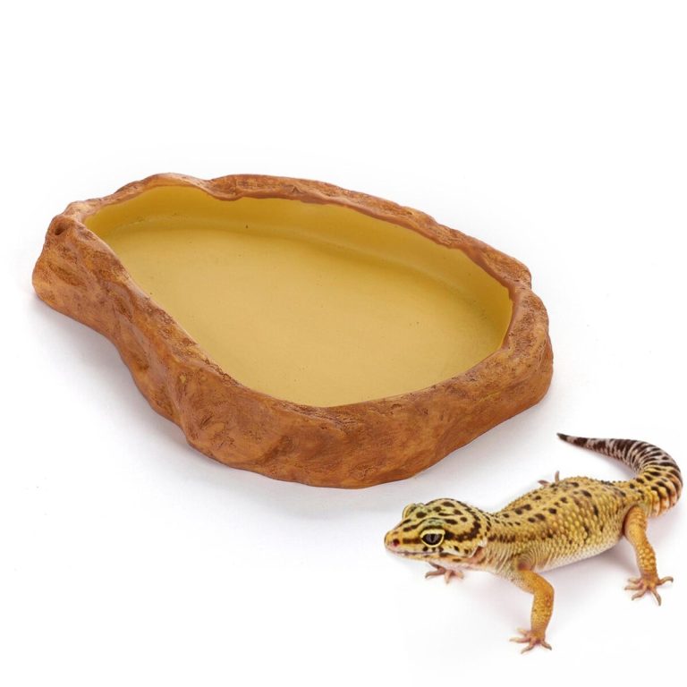 Posoda za terarij za voda in hrana 13x10x2cm Happet