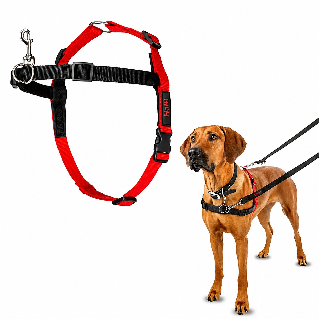 Halti Front Control Harness L &ndash; oprsnica proti vlečenju