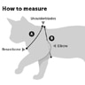 how_to_measure
